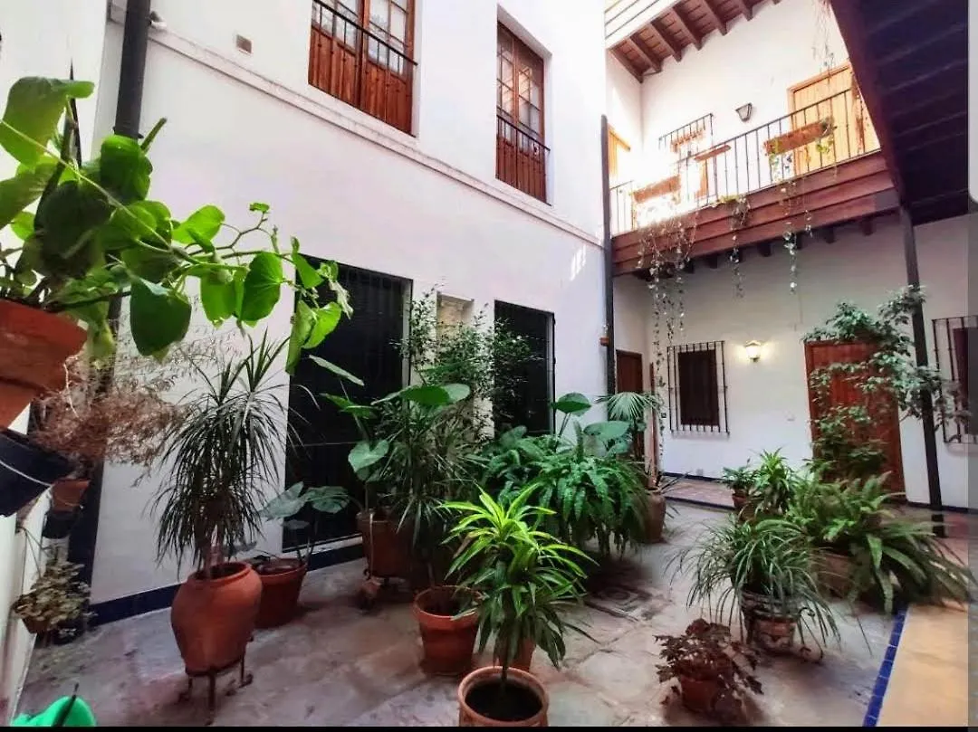 Casa Coco Sevilla Urban Apartment  Seville